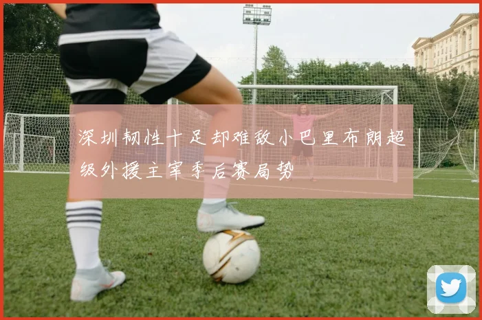 深圳韧性十足却难敌小巴里布朗超级外援主宰季后赛局势