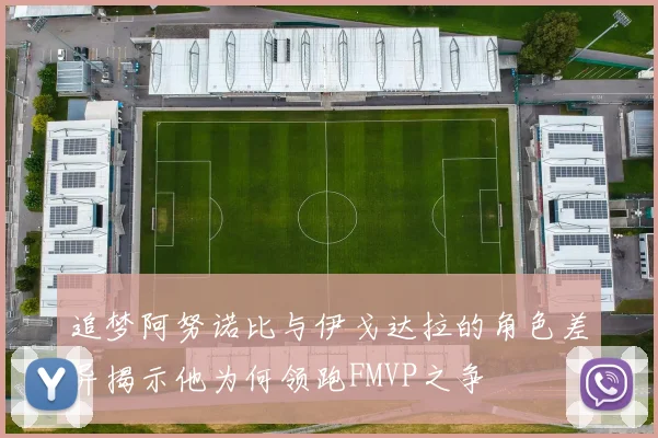 追梦阿努诺比与伊戈达拉的角色差异揭示他为何领跑FMVP之争